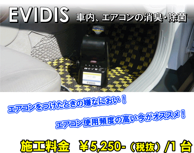 HELLA/�w���[�@EVIDIS�@�G���B�f�B�X�@���L�@���ہ@���C�Y�t�@�N�g���[